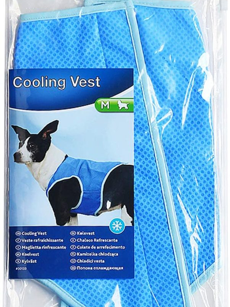 Chaleco refrescante para perro 8
