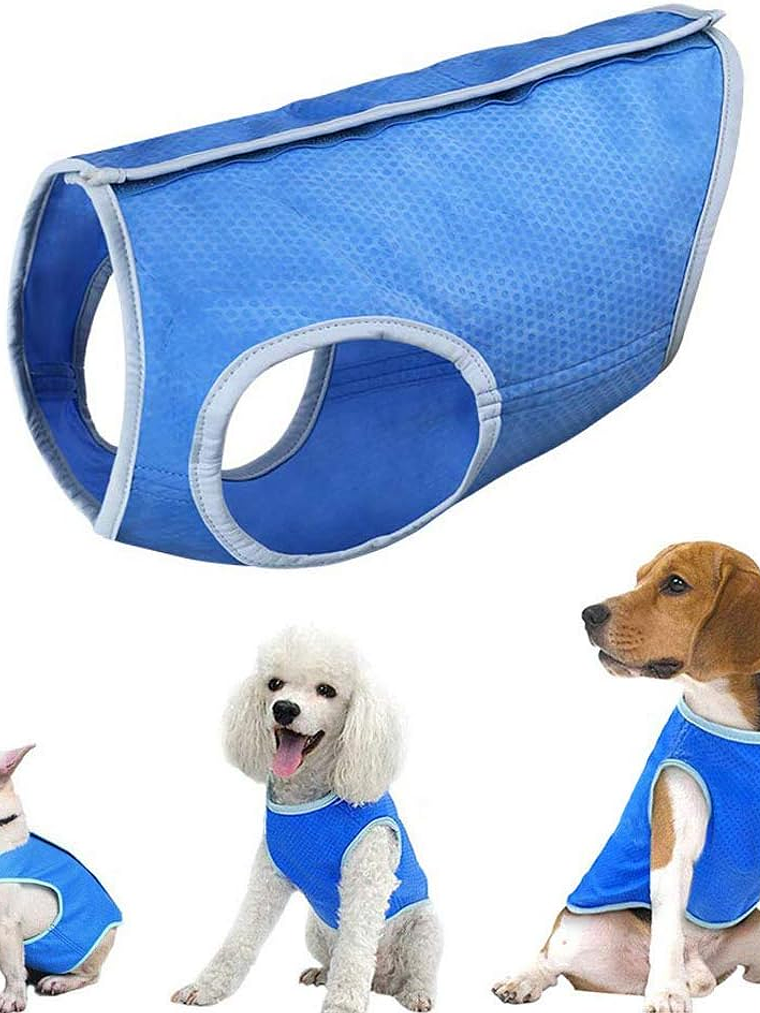 Chaleco refrescante para perro 7