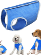 Chaleco refrescante para perro - Miniatura 7