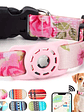 Collar mascota tela estampada con funda para Airtag COLORES - Miniatura 3