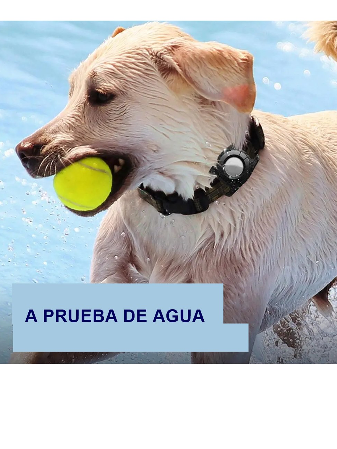 Funda impermeable para AIRTAG para perro COLORES 1