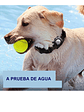 Funda impermeable para AIRTAG para perro COLORES - Miniatura 1