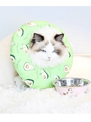 Collar isabelino de tela para mascota Talla-DISEÑOS