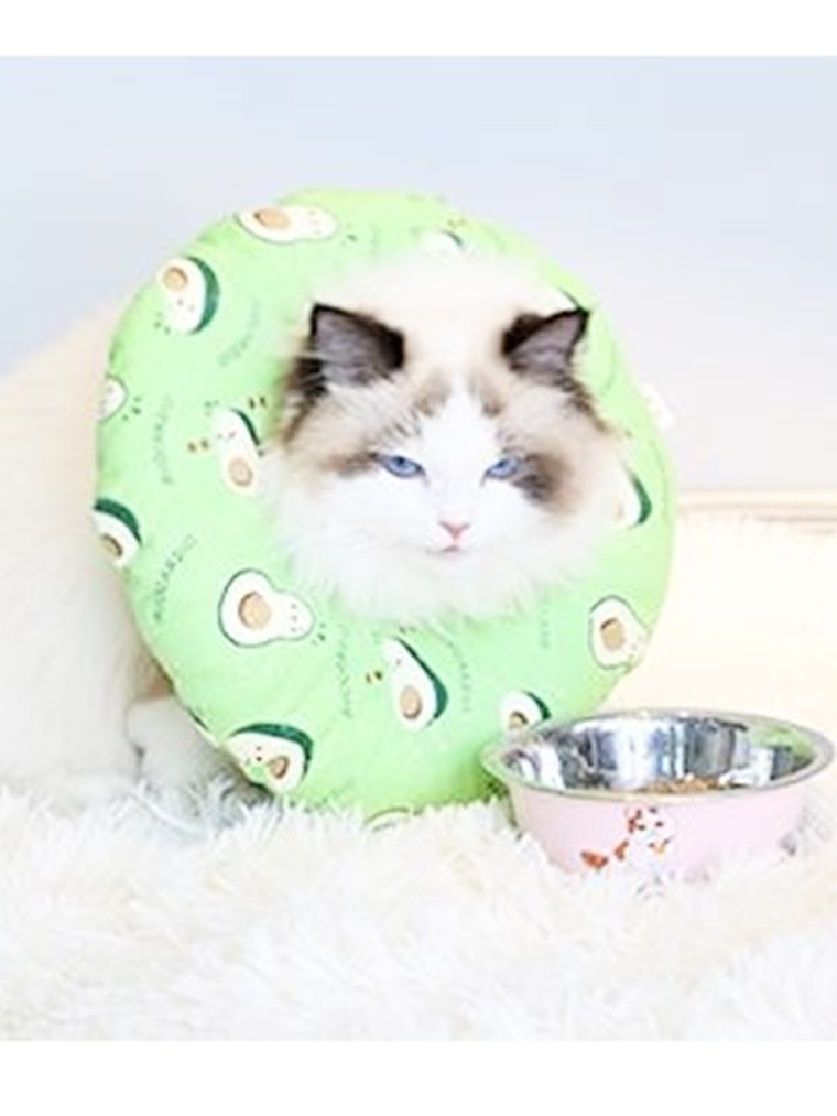 Collar isabelino de tela para mascota Talla-DISEÑOS 1