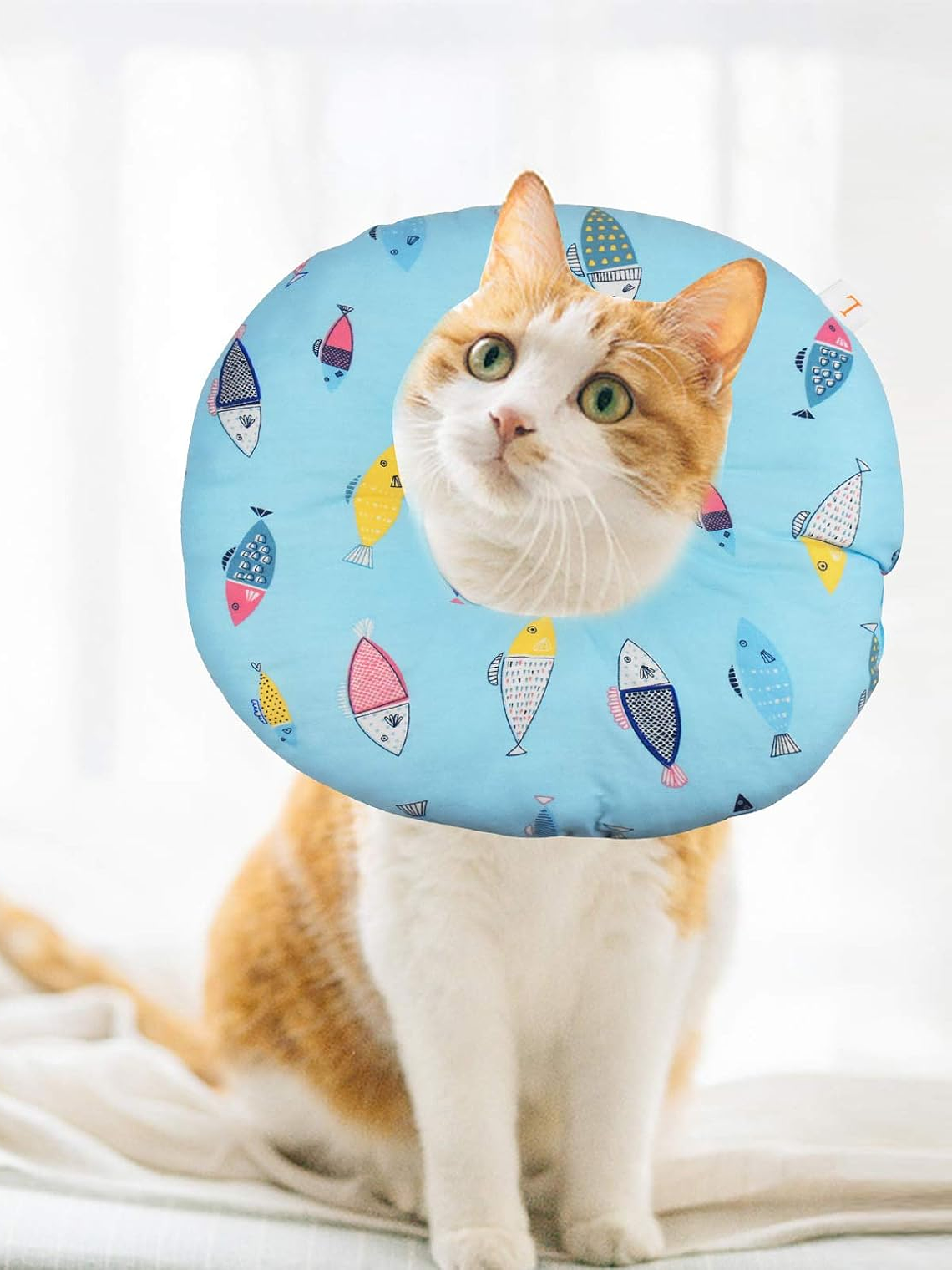 Collar isabelino de tela para mascota Talla-DISEÑOS 2