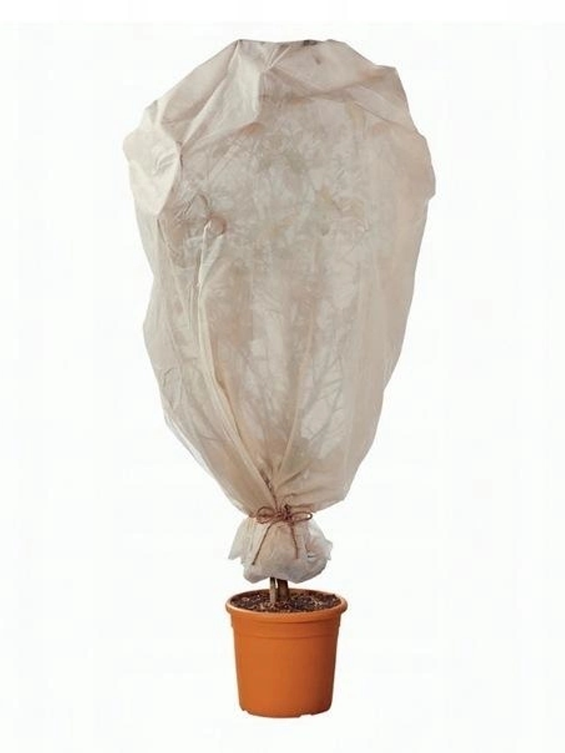 Tela anti heladas para plantas-Talla M 1