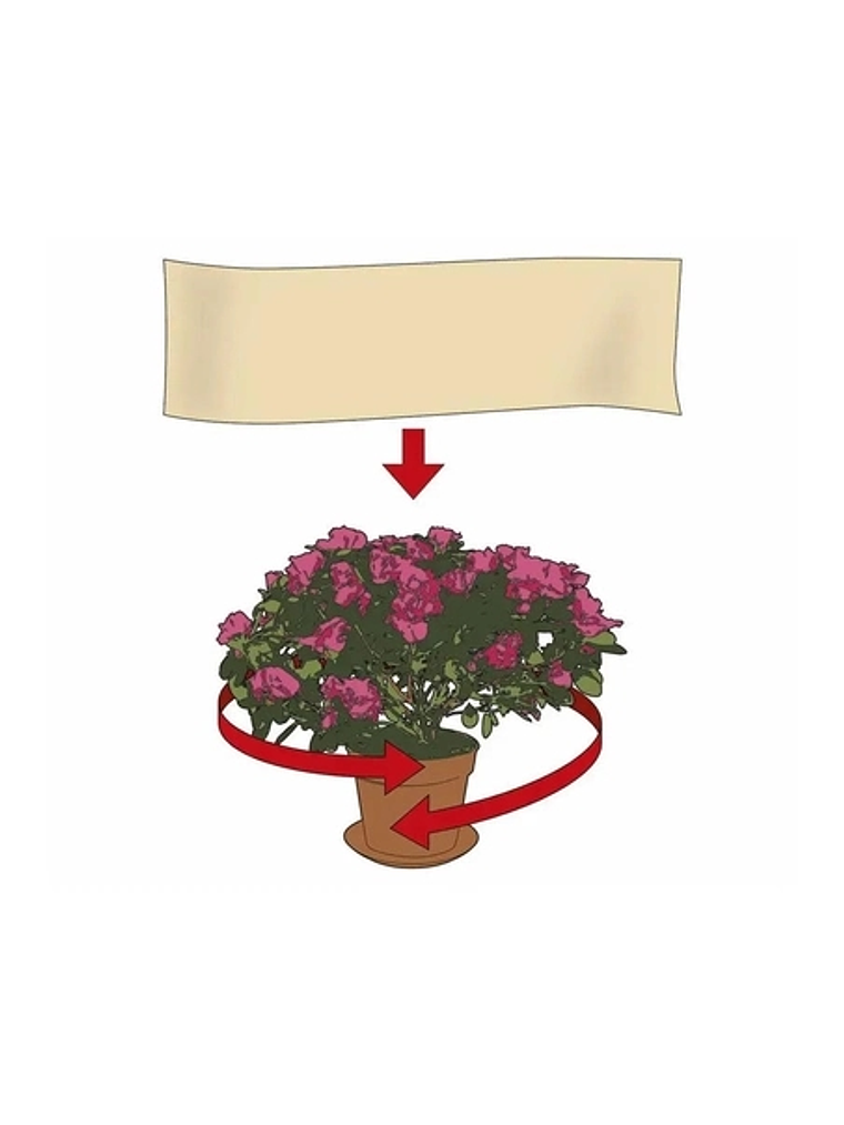Tela anti heladas para plantas-Talla S 2