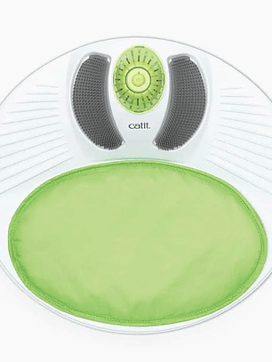 Centro SPA para gatos