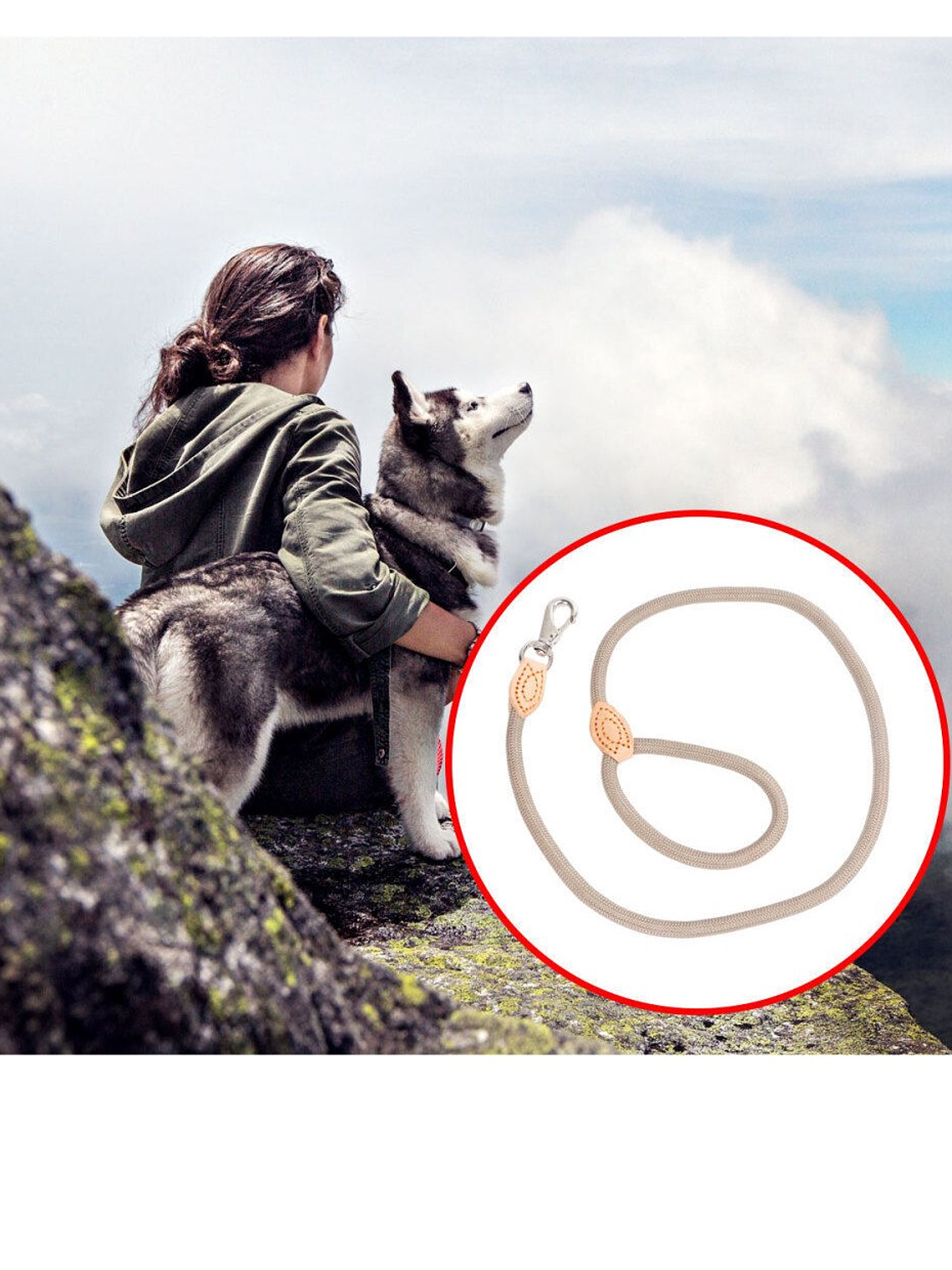 Correa cuero y nylon para perro 3