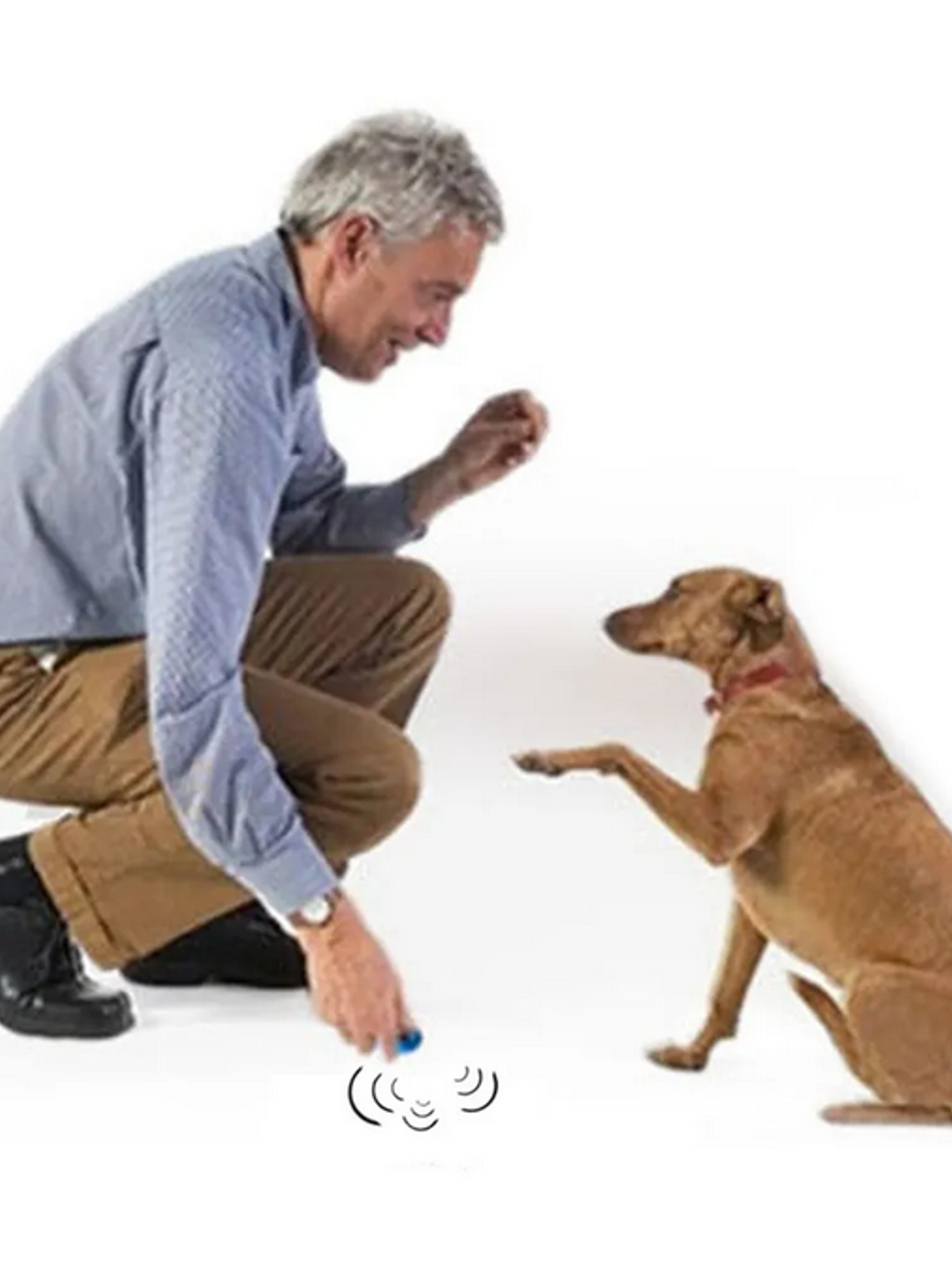 Silbato con Clicker para perro u otras mascotas 3