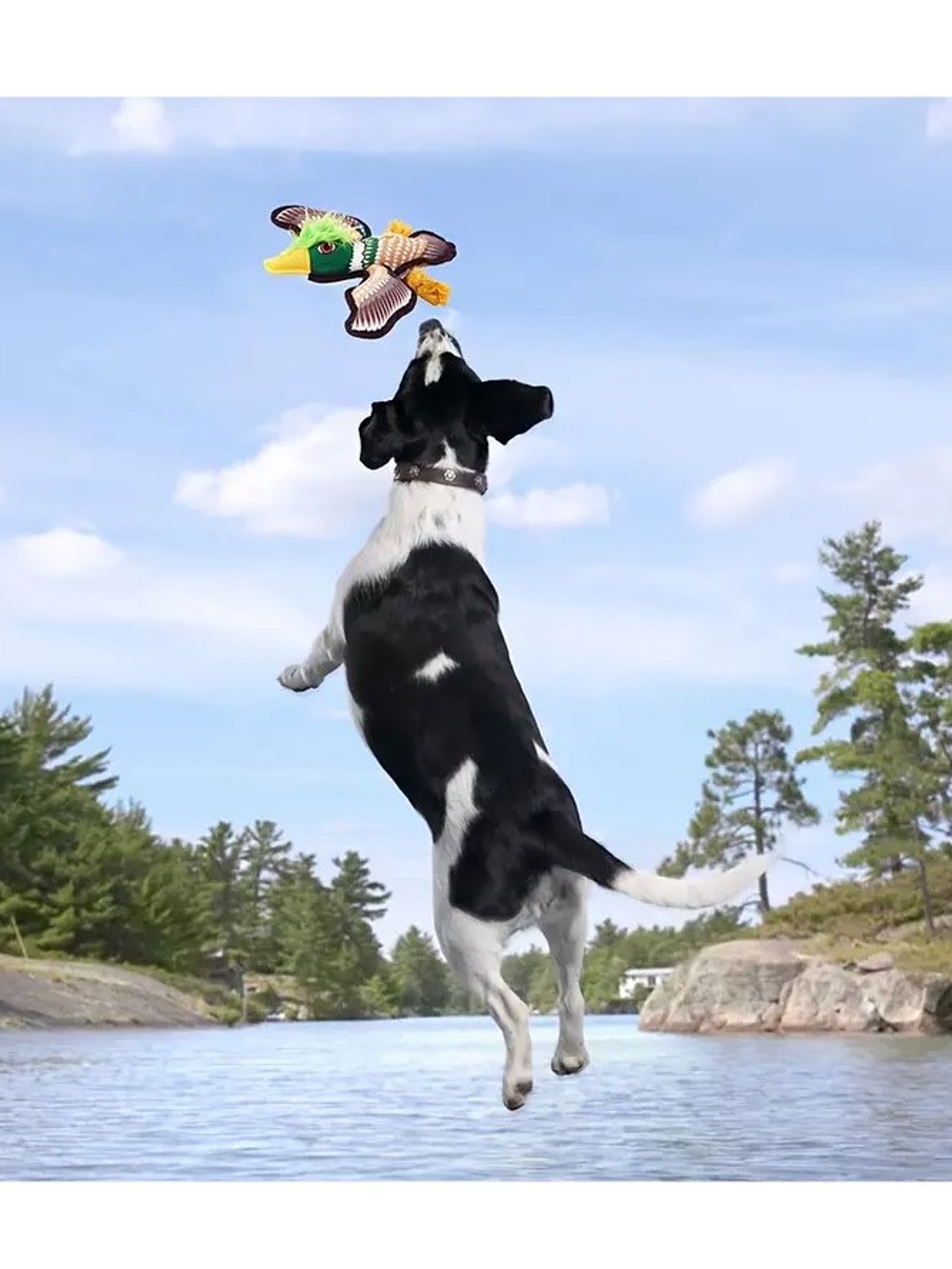 Juguete de tela para perro con forma de águila 1