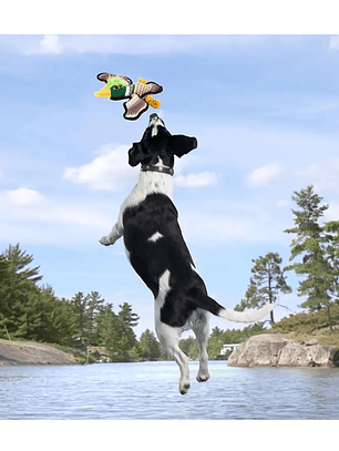 Juguete de tela para perro con forma de águila