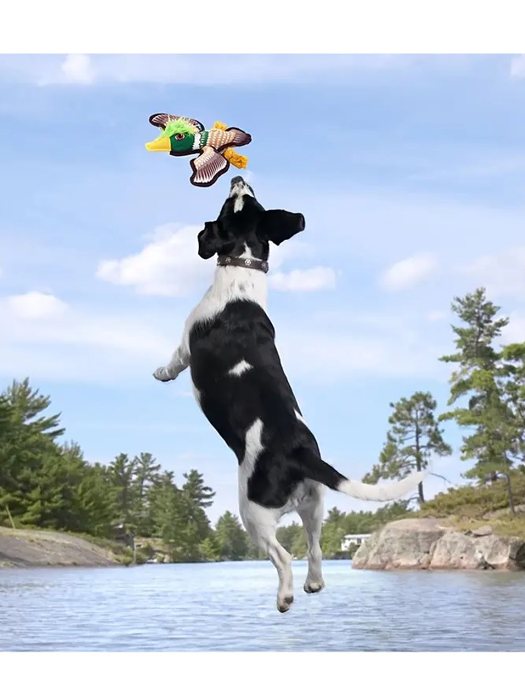 Juguete de tela para perro con forma de águila 1