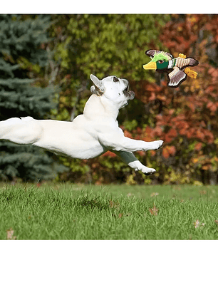 Juguete de tela para perro con forma de ave