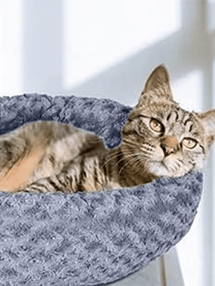 CAMA MASCOTA DONUT con forro y relleno independiente