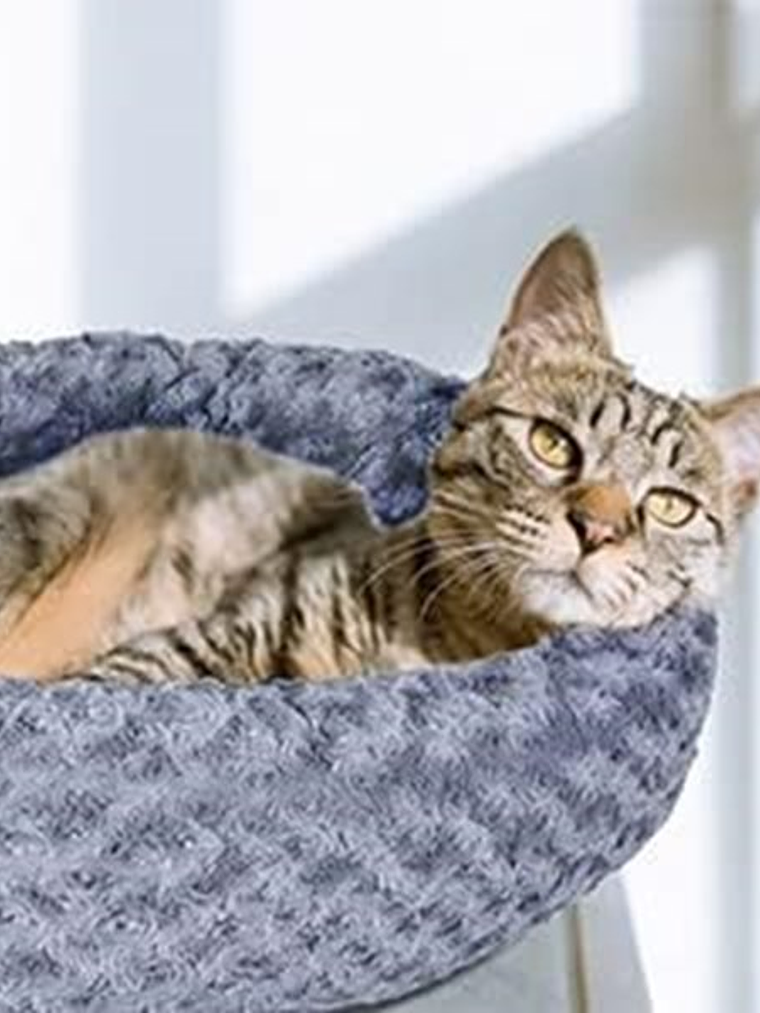 CAMA MASCOTA DONUT con forro y relleno independiente 1