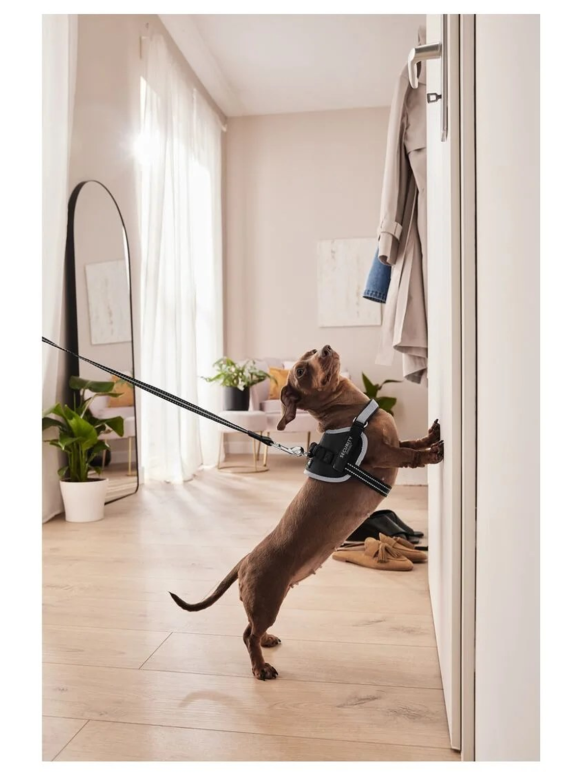 Arnés Anti-tirones negro 1