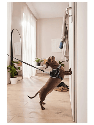 Arnés Anti-tirones negro