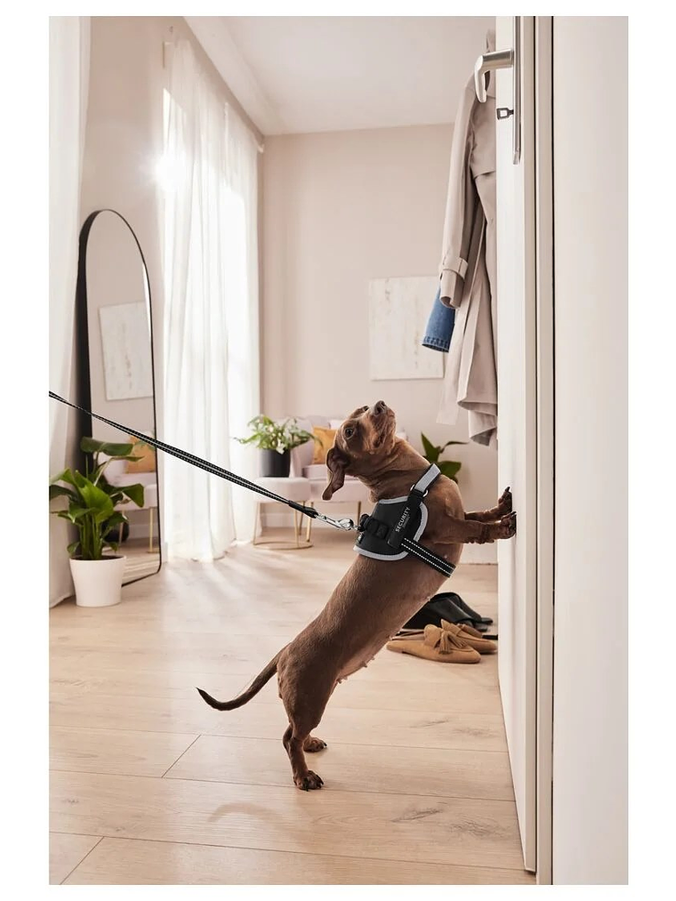 Arnés Anti-tirones negro 1