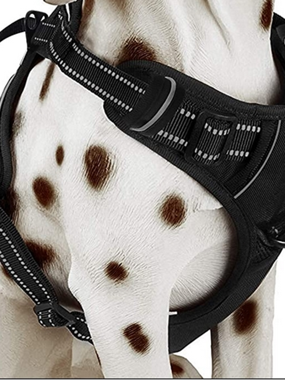 Arnés anti tirones verde fluorescente Talla XL 2