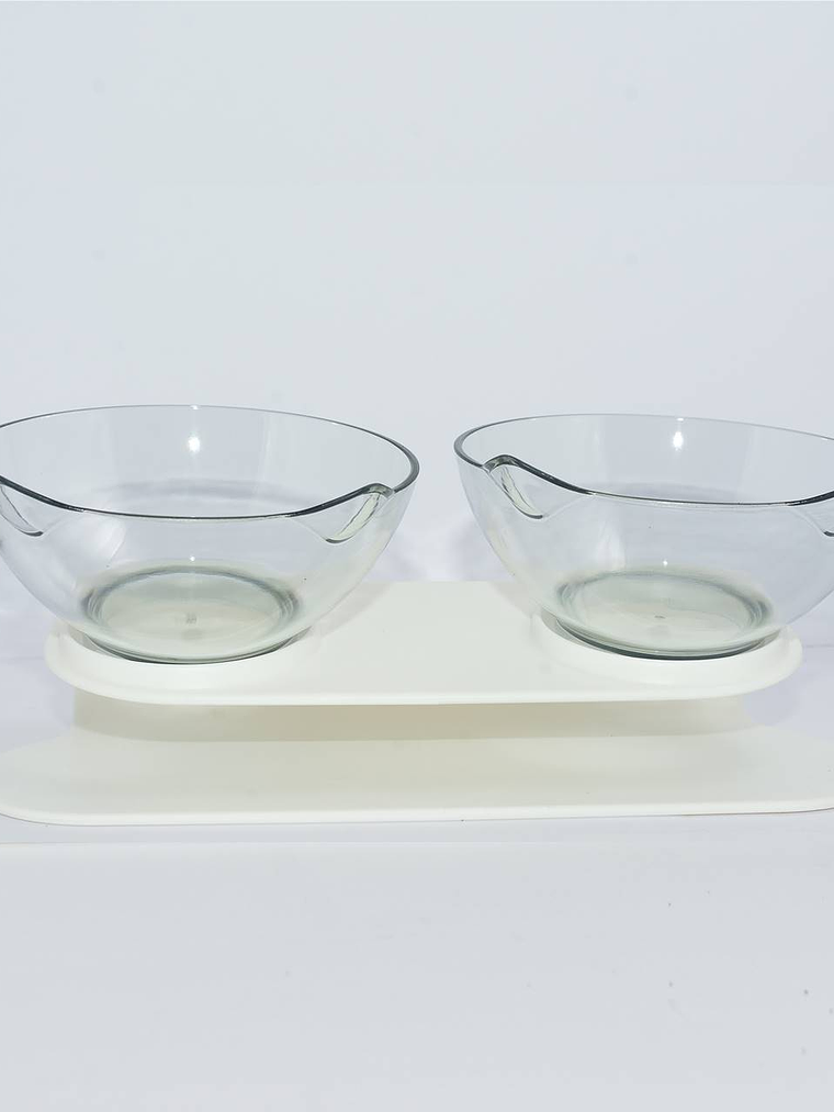 Plato para mascota doble elevado 1