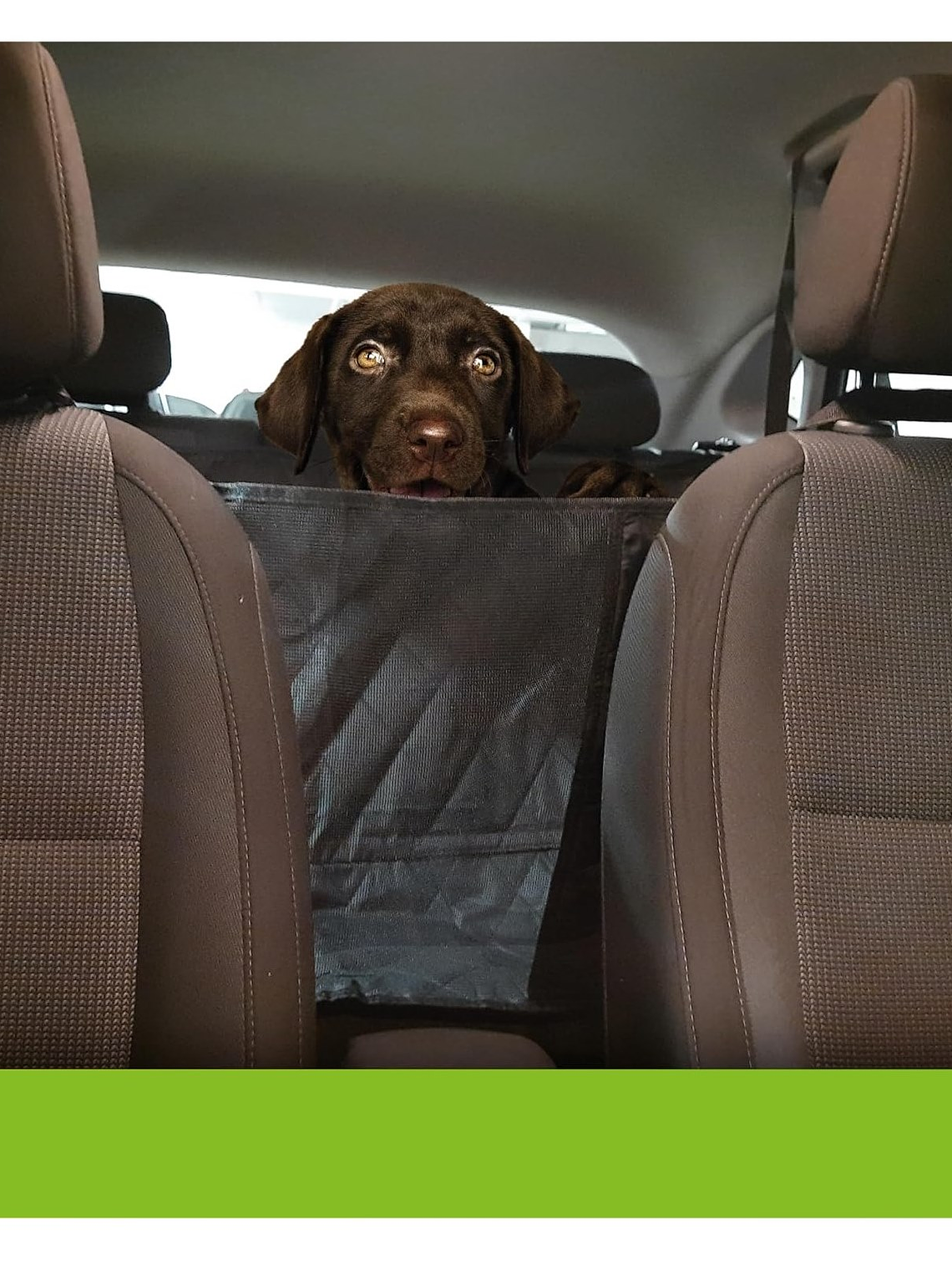 Funda para asiento trasero de auto para mascotas 3