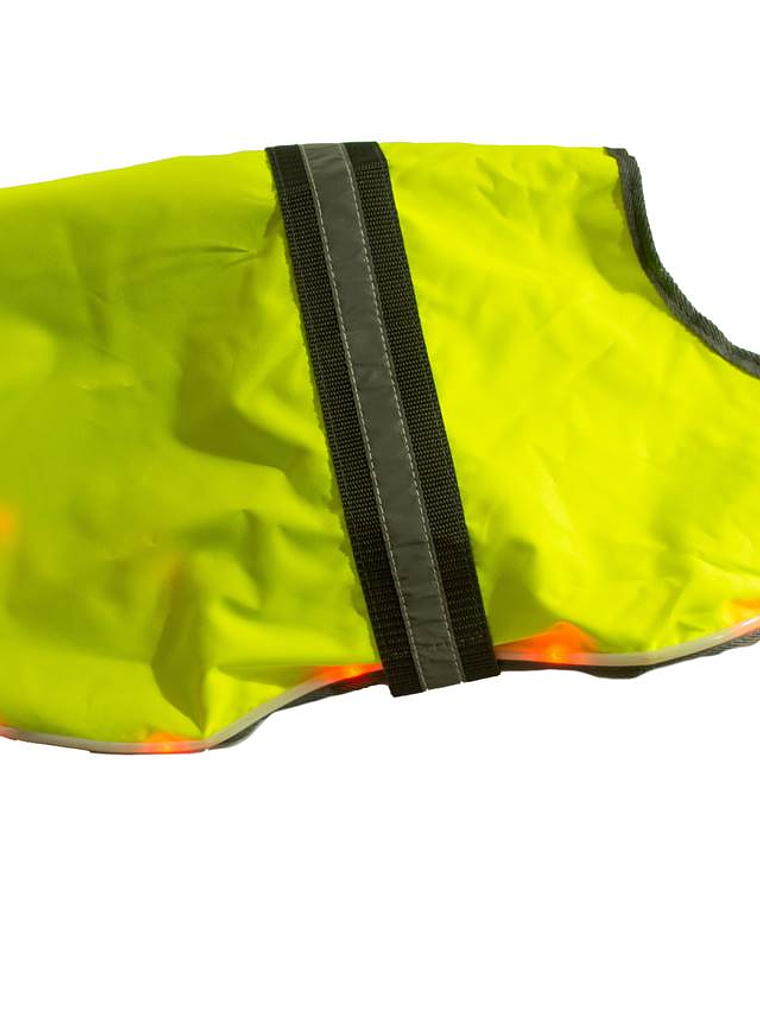 Capa con luces y fluorescente para perro mediano 1