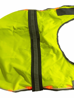 Capa con luces y fluorescente para perro mediano