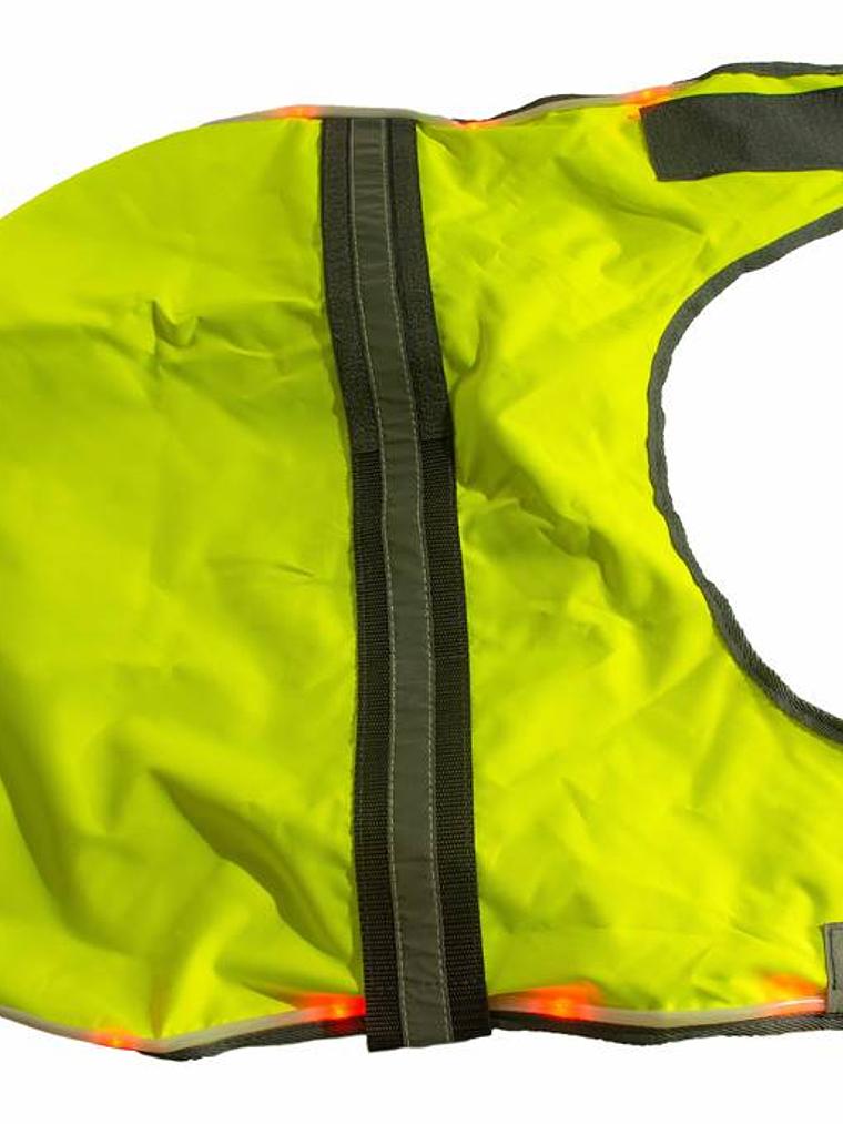 Capa con luces y fluorescente para perro mediano 2