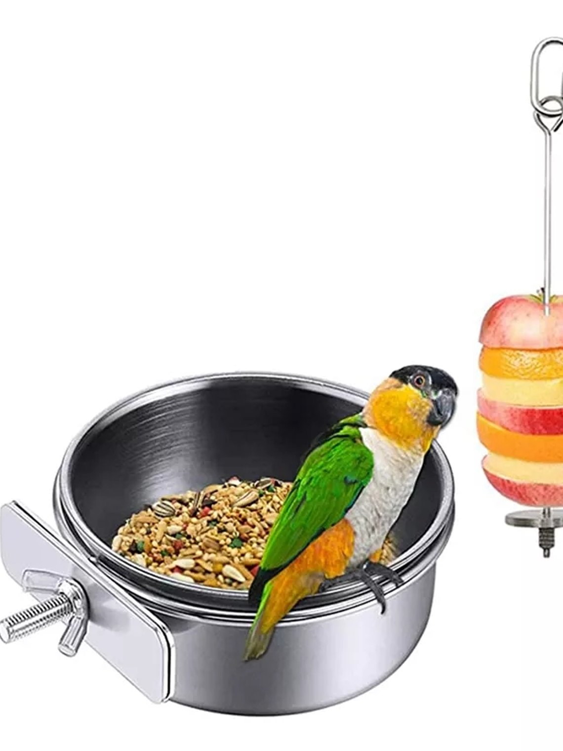 SET 2 artículos de alimentación aves acero inoxidable 1