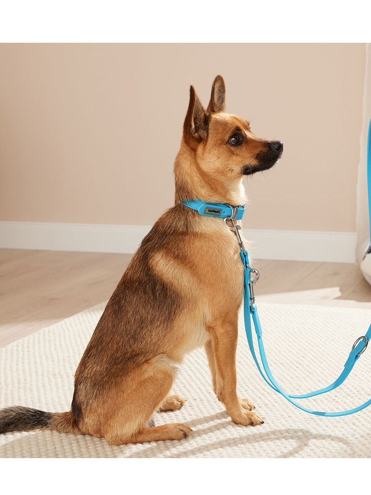 Collar con correa de silicona para perro 1