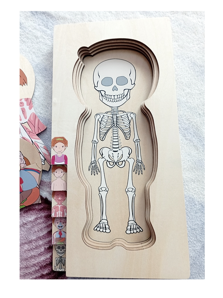 Puzzle  de madera cuerpo humano NIÑA o NIÑO 1