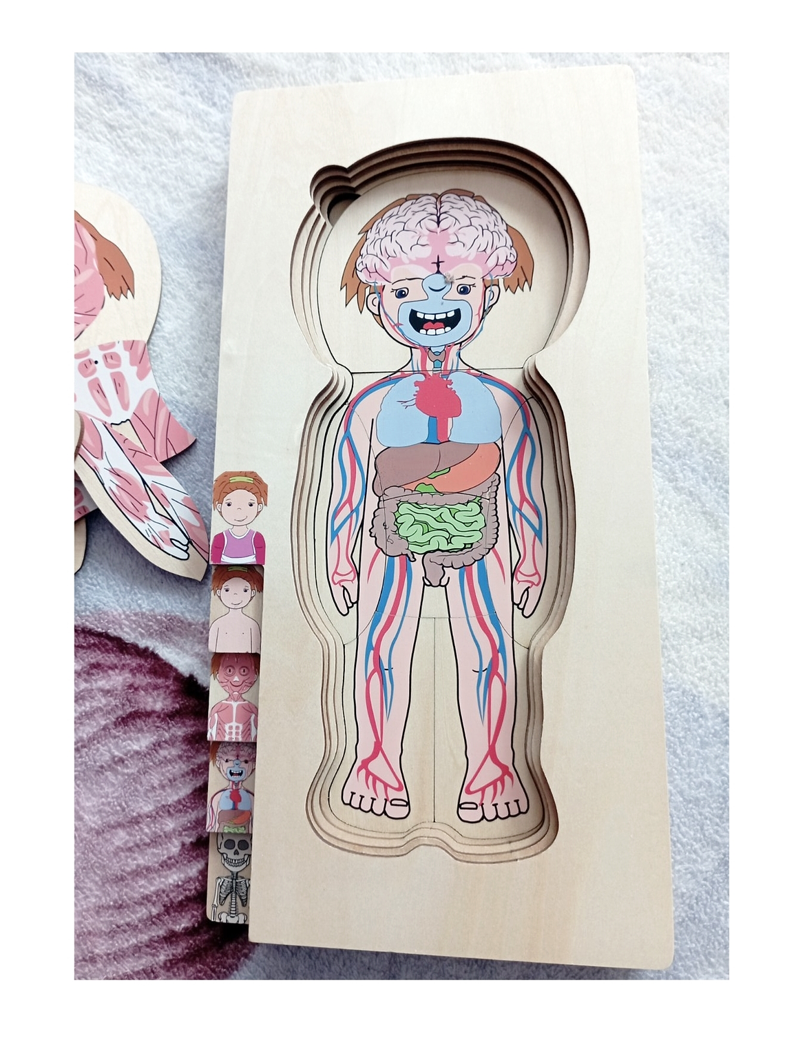 Puzzle  de madera cuerpo humano NIÑA o NIÑO 2