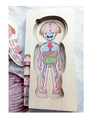 Puzzle  de madera cuerpo humano NIÑA o NIÑO