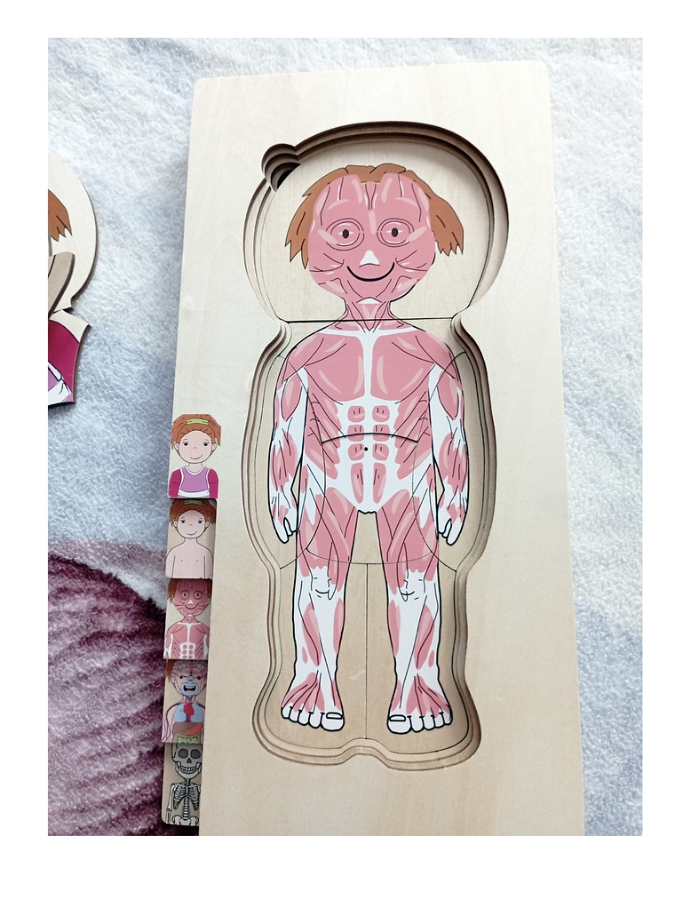 Puzzle  de madera cuerpo humano NIÑA o NIÑO 3