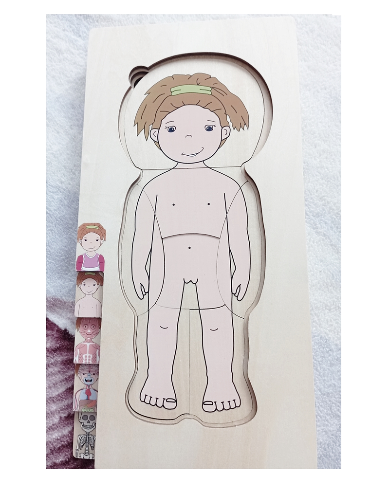 Puzzle  de madera cuerpo humano NIÑA o NIÑO 4