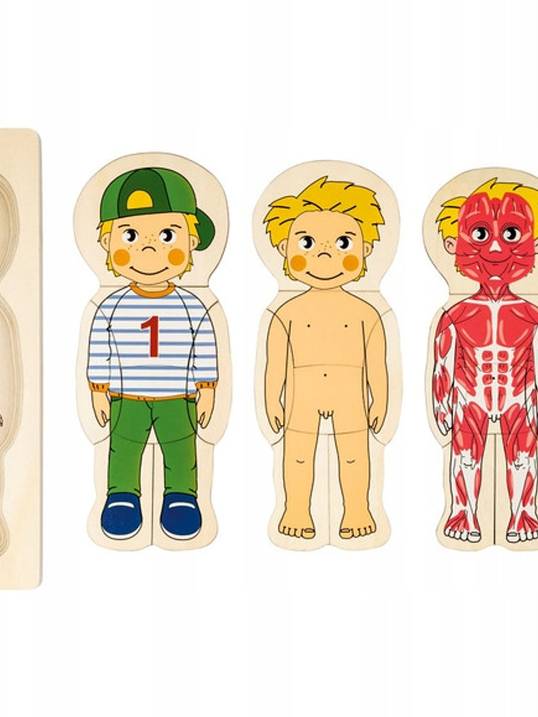 Puzzle  de madera cuerpo humano NIÑA o NIÑO 6