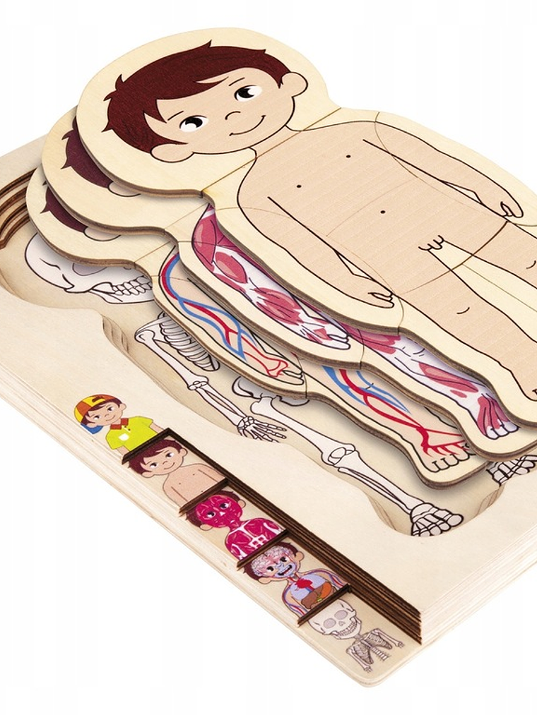 Puzzle  de madera cuerpo humano NIÑA o NIÑO 7
