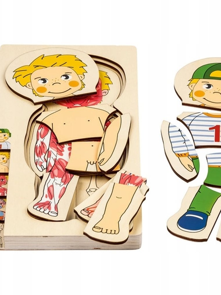 Puzzle  de madera cuerpo humano NIÑA o NIÑO 8