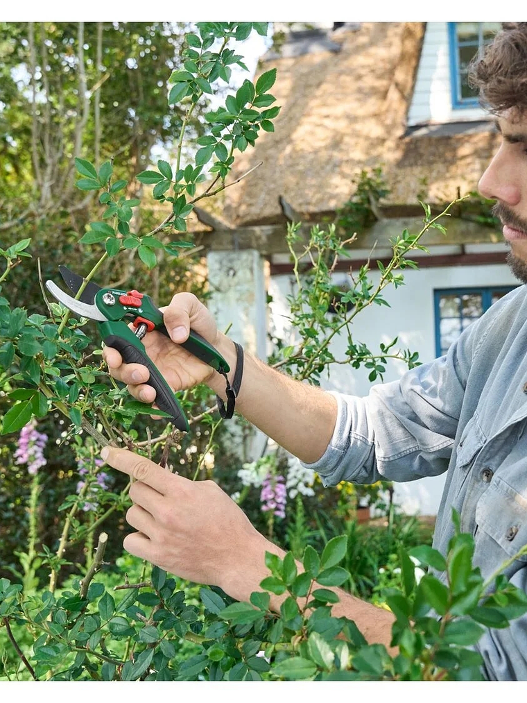 Tijera de acero para podar 3