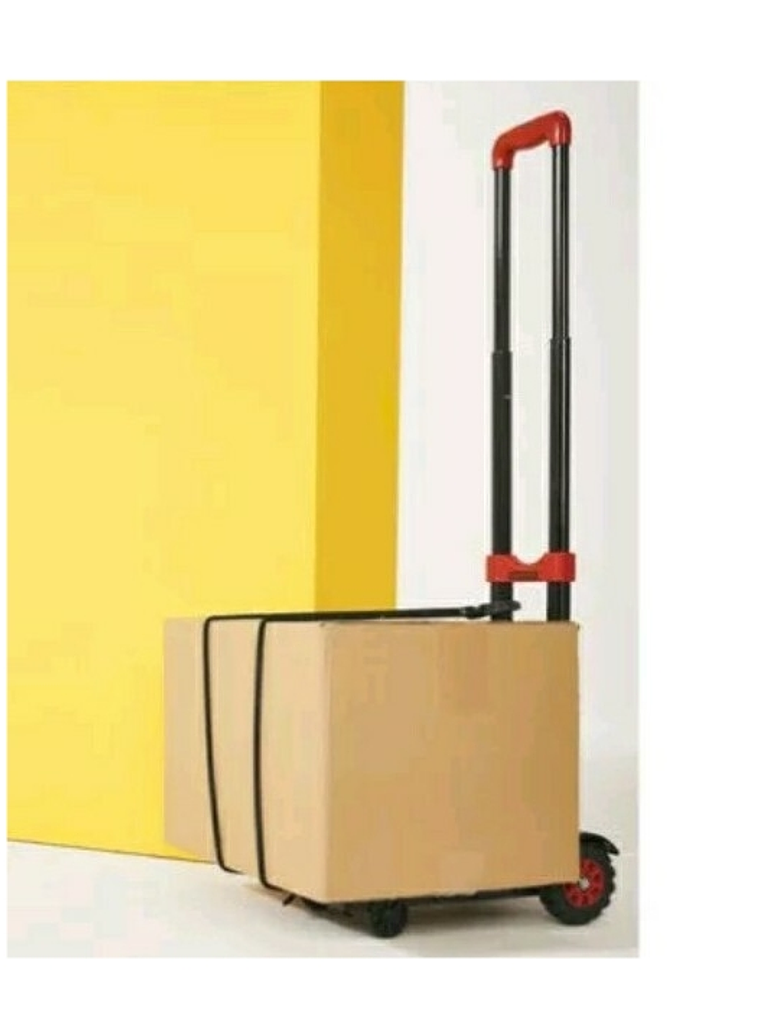 Carrito plegable para carga máxima 50kg 1