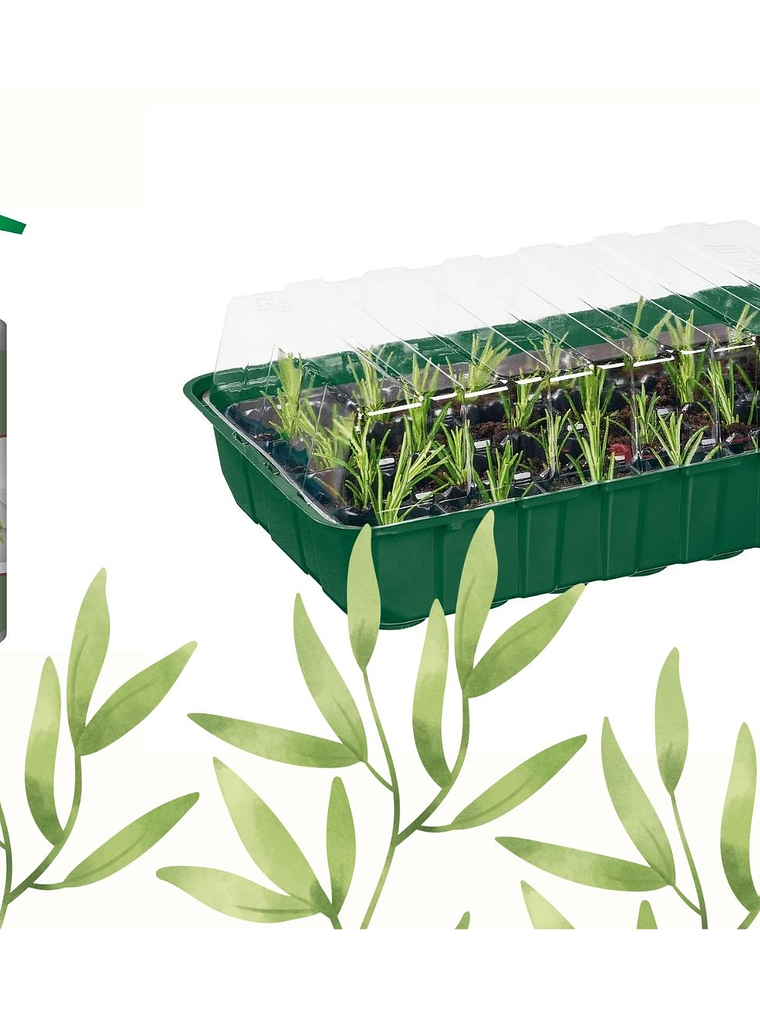 SET de 4 bandejas para almácigos y abono líquido 1