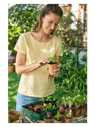 SET de 4 bandejas para almácigos y abono líquido