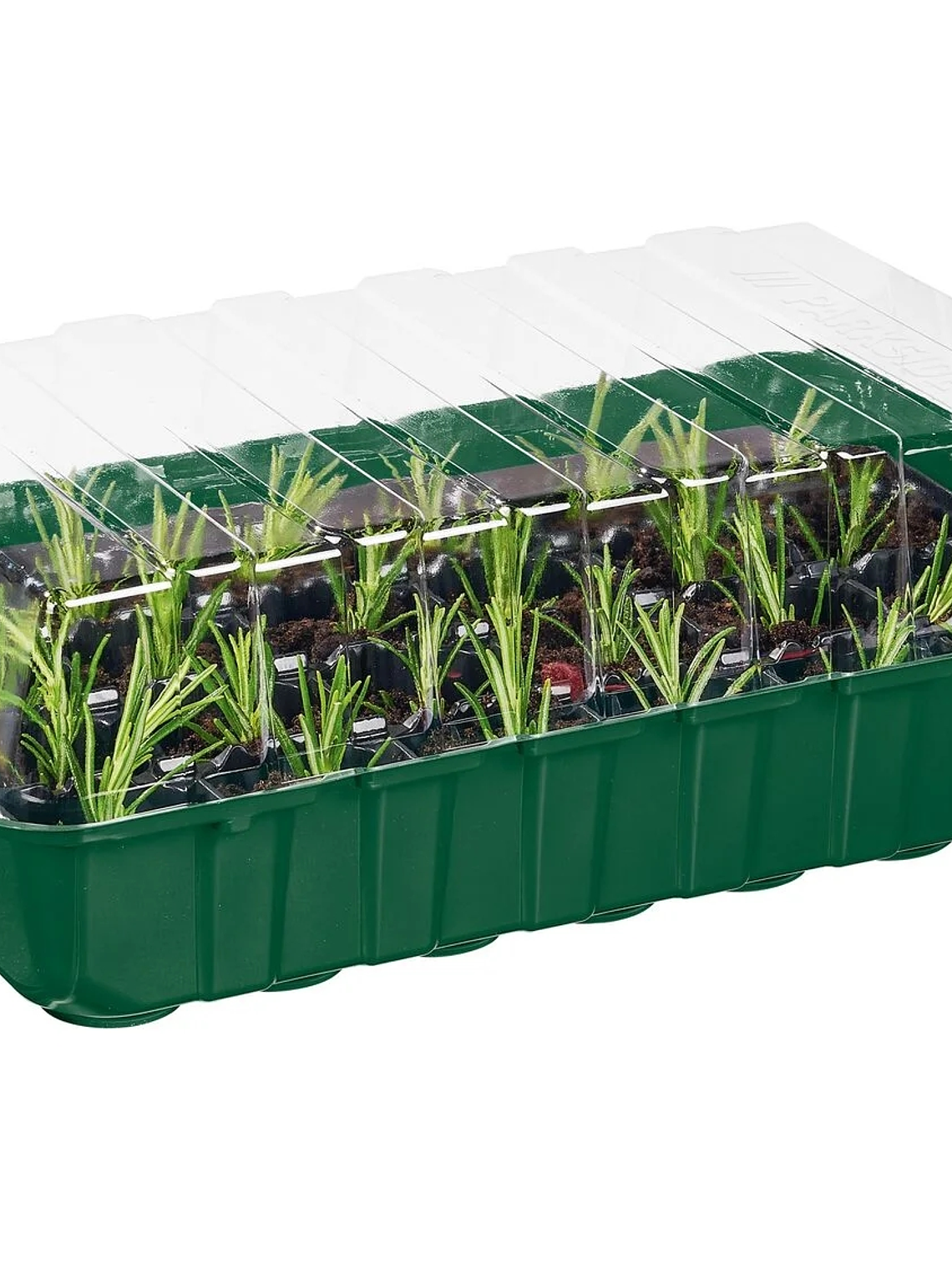 SET de 4 bandejas para almácigos y abono líquido 4