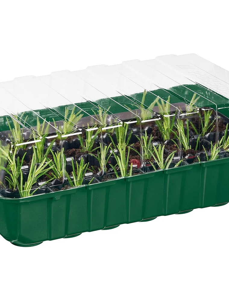 SET de 4 bandejas para almácigos y abono líquido 4