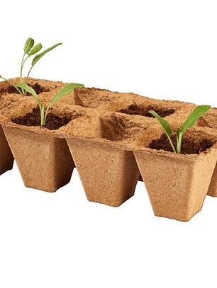 SET de 5 bandejas para almácigos biodegradable