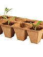 SET de 5 bandejas para almácigos biodegradable - Miniatura 2