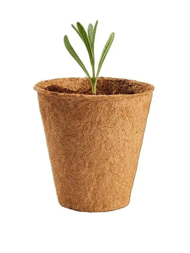 PACK 30 maceteros biodegradables 8cm 3