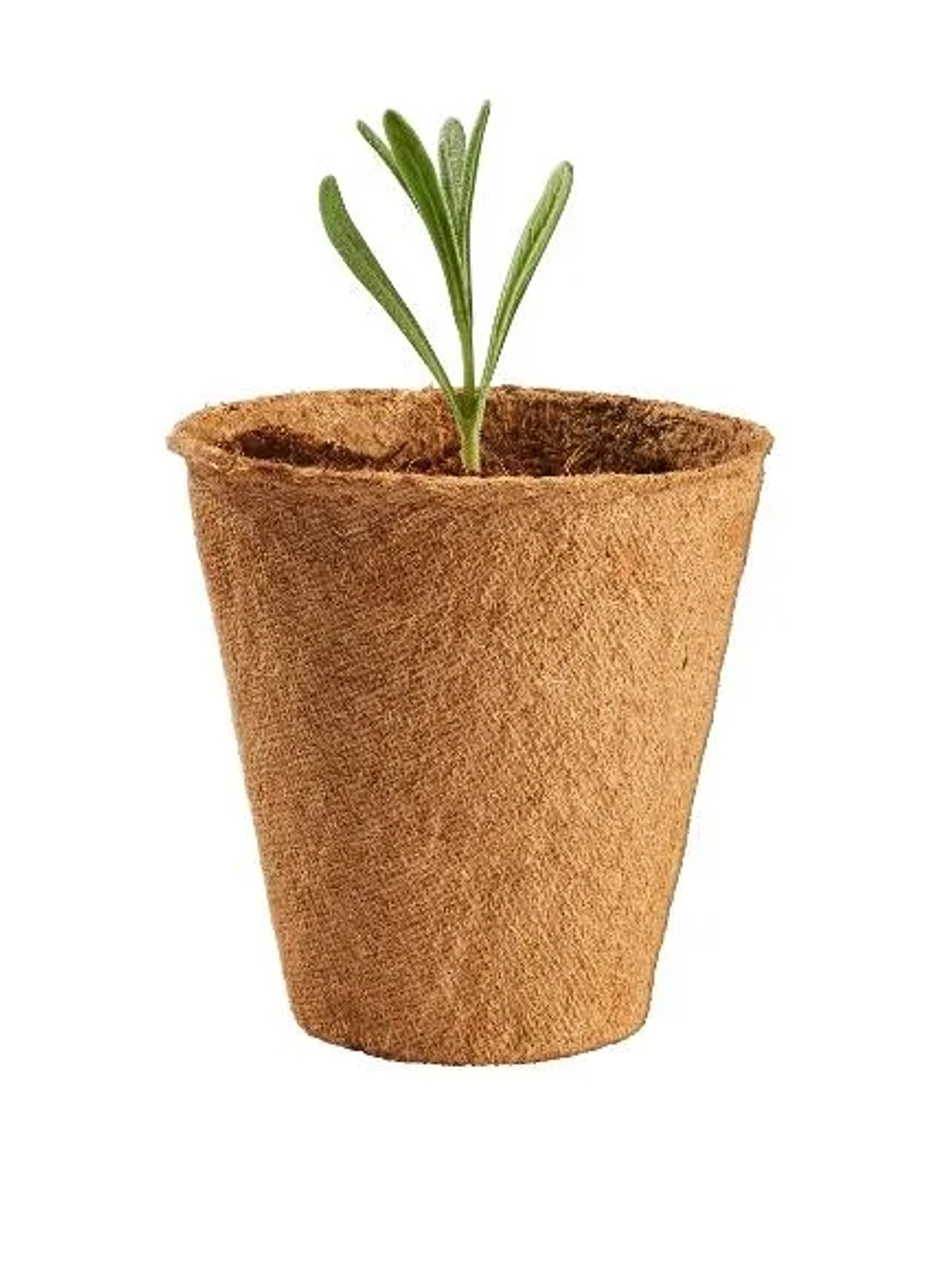 PACK 40 maceteros biodegradables 6cm 3