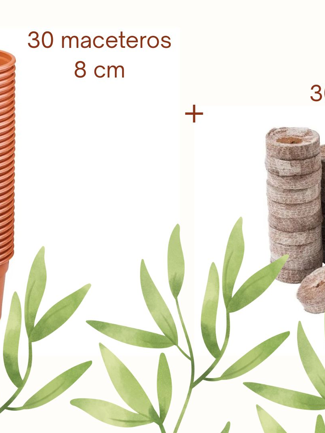 SET de 30 Maceteros 8cm y 30 germinadores 1
